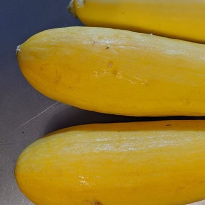 ladybugboxer's profile picture. Feminist scientist searching for eco justice. Amateur trapeze artist. Really good at huggin'.