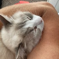 Rachel (@missc_87x) 's Twitter Profile