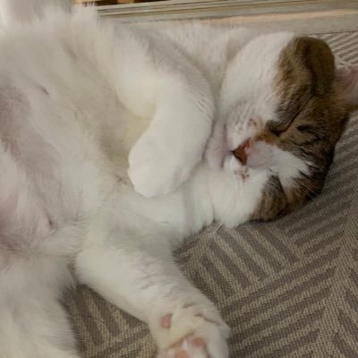 omcs0625's profile picture. 