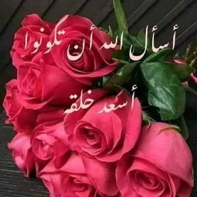 DmfOysOw5VHfAok's profile picture. 