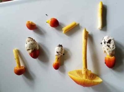 Tweettw94958931's profile picture. love the outdoors and the gizmos