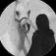 فاطمة الحوسنية (@alhousnifatema) Twitter profile photo فاطمة الحوسنية (@alhousnifatema) Twitter profile photo