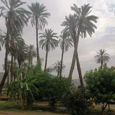 5w4yieUohihDos4's profile picture. انا جنوبي نثر همه على كف الغيوم