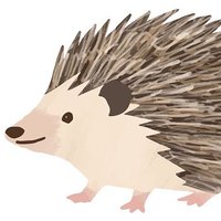 Year 2 Hedgehogs(@MrsVincentLCP) 's Twitter Profile Photo