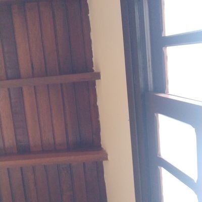 edhtroas23's profile picture. 