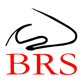 BRS Juniors - a branch of the British Rhinological Society. We hope to connect with those interested in Rhinology and share educational resources. Follow us!