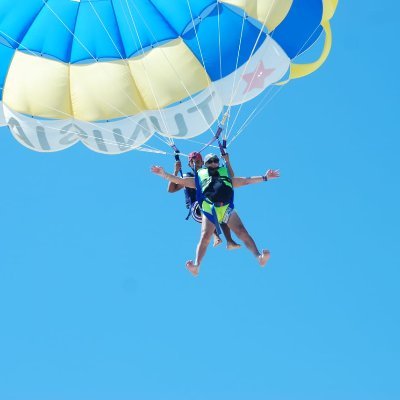 Ysitfr's profile picture. 