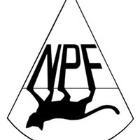 NPFOnlineCommunity(@NpfOnline) 's Twitter Profile Photo