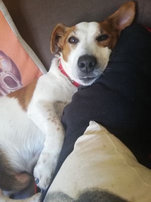 ClairePoullain's profile picture. 