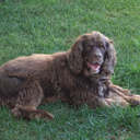 Eric Breton - @BretonCFTC - Twitter