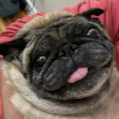 LiliFlores's profile picture. 