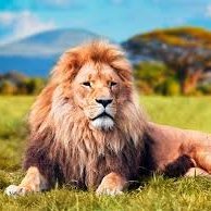 AKarimLyoussi's profile picture. Sky is the limit...