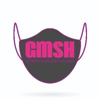 GMSH Alliance(@GMSHAlliance) 's Twitter Profile Photo