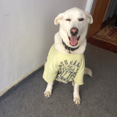 Kartanosx's profile picture. Best Taliyah EUW :)
https://t.co/UoQ7EhJivO