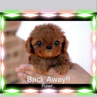 mommywantrest's profile picture. 