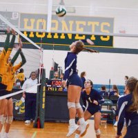 Abby Peduzzi (@peduzzi_abby) 's Twitter Profile
