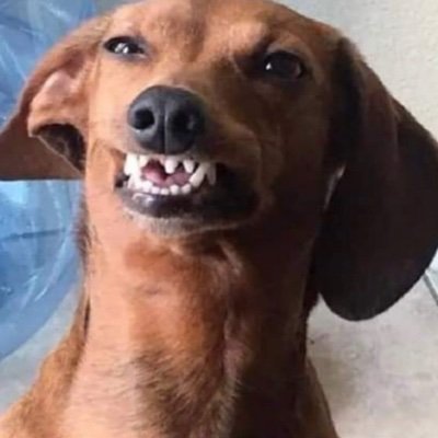 PerezMclovin's profile picture. 