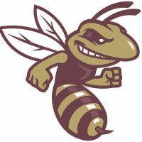 LH Athletics (@hornetsoflh) 's Twitter Profile
