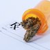 MS Republicans for Medical Marijuana (@msgopfor65) Twitter profile photo MS Republicans for Medical Marijuana (@msgopfor65) Twitter profile photo