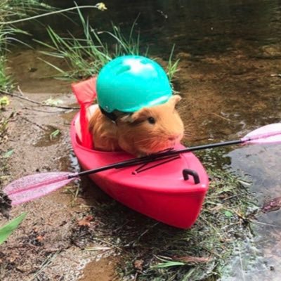 BinsightsT's profile picture. Daily thoughts on Tech, Business, Diversity, and Life