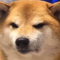 Chuy López (@perritodeprade) 's Twitter Profile