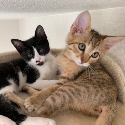 KEN73313936's profile picture. 