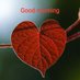 Dil wala (@shaha5221) Twitter profile photo