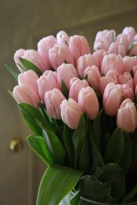 GuadalupeBA10's profile picture. ....