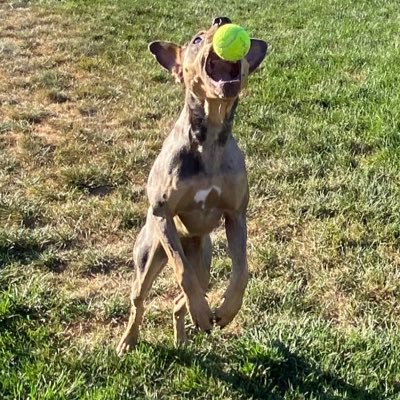 TravisStroebele's profile picture. 