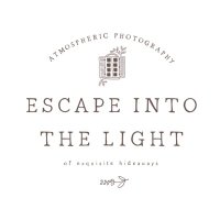 escapeintothelight(@escapeintotheli) 's Twitter Profile Photo