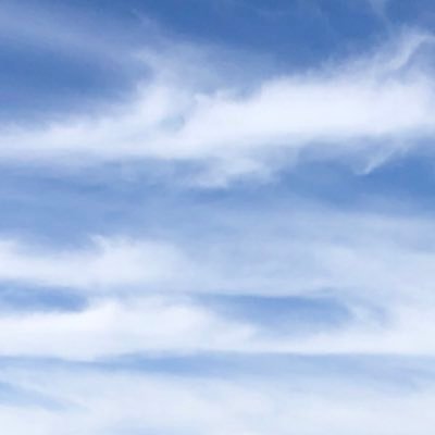 cyberony's profile picture. Asst. Prof. of Instruction in CS and Deputy Dir. of MS in AI program @ Northwestern   |   We know what Artificial means. But what the heck is Intelligence? 🤔