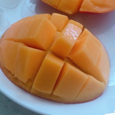 りんごりら Kiringorilla Twitter りんごりら Kiringorilla Twitter