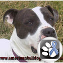 Raise funds for dog rescue by doing crafts. Mental health advocate. I Live in Lincolnshire, Support Nottingham Forest FC