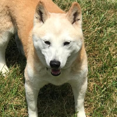 TazWx's profile picture. 