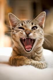 ●●●▬▬▬▬▬▬▬▬▬▬ஜ۩۞۩ஜ▬▬▬▬▬▬▬▬▬▬●●● 
Be cheerful when gettin-out as when you coming-in.
●●●▬▬▬▬▬▬▬▬▬▬ஜ۩۞۩ஜ▬▬▬▬▬▬▬▬▬▬●●●