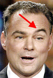 The feathered arch that dances atop Tim Kaine's chiseled brow