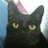 くろねこのアイコン