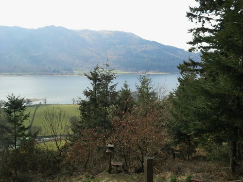 LizMounsey's profile picture. Married to Paul, 3 grown up kids,1 gorgeous grandson.  PNEFC fan.   Favourite band ELBOW.  Superb music and lyrics.  Fab live.  Love them.