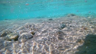 Markos25847109's profile picture. 