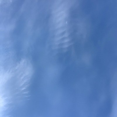 JanovskyRene's profile picture. CG Nerd