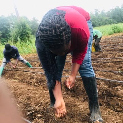 A Female and Young Farmer |Crop Production| Advocate of Food Security. iPlant, iProcess, iSell. RC - 1471238