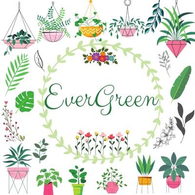 EverGreen is all about Gardening & Nature, Tons of stuff, from ideas to products, but nothing that's not beautiful. 
Visit UTube Channel
https://t.co/aLNhkeAf6e