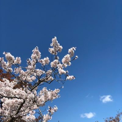 🥺🥺さんのプロフィール画像