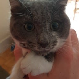 michvd6039999's profile picture. 