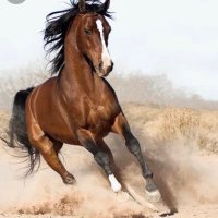‏صدقه جاريه للمرحومه مضاوي💔💔💔💔 (@eulqwzne2u11kcj) 's Twitter Profile