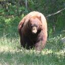 Darren McFarlane - @DarrenMcFarlane - Twitter