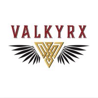 Valkyrx Gaming - The Intelligent Wargames Table(@Valkyrx_Gaming) 's Twitter Profile Photo