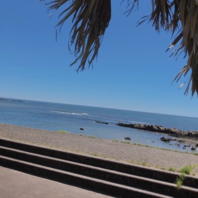 pekopekochan18's profile picture. 安可愛大好きです！仕事しながら最近は頻繁におえませんがお得に生きる日々。毎日バタバタばたこさん⭐︎