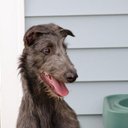 George Lovato Jr - @gl11711 - Twitter