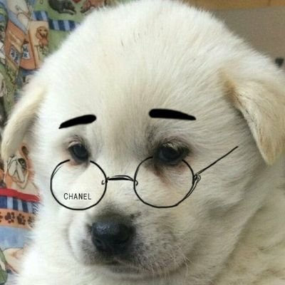 코코 위니さんのプロフィール画像